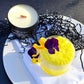 Cocktail Hour - Limoncello Natural Soy Candle